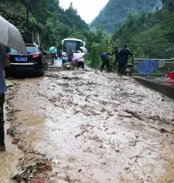 K1561最新运行线路全面解析与旅行指南，你的出行必备参考！