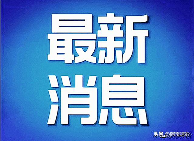 阳光照亮日常，小明与他的朋友们的美好早晨
