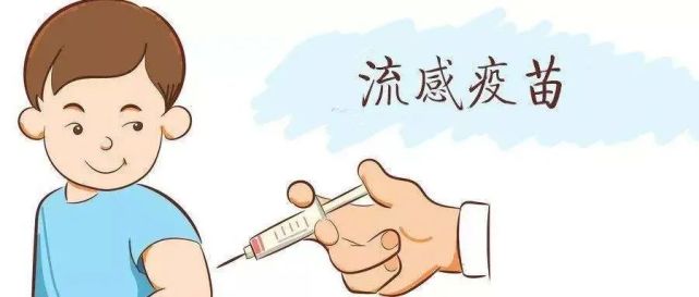 福建最新疫病动态，变化中的学习助力铸就自信与成就的力量