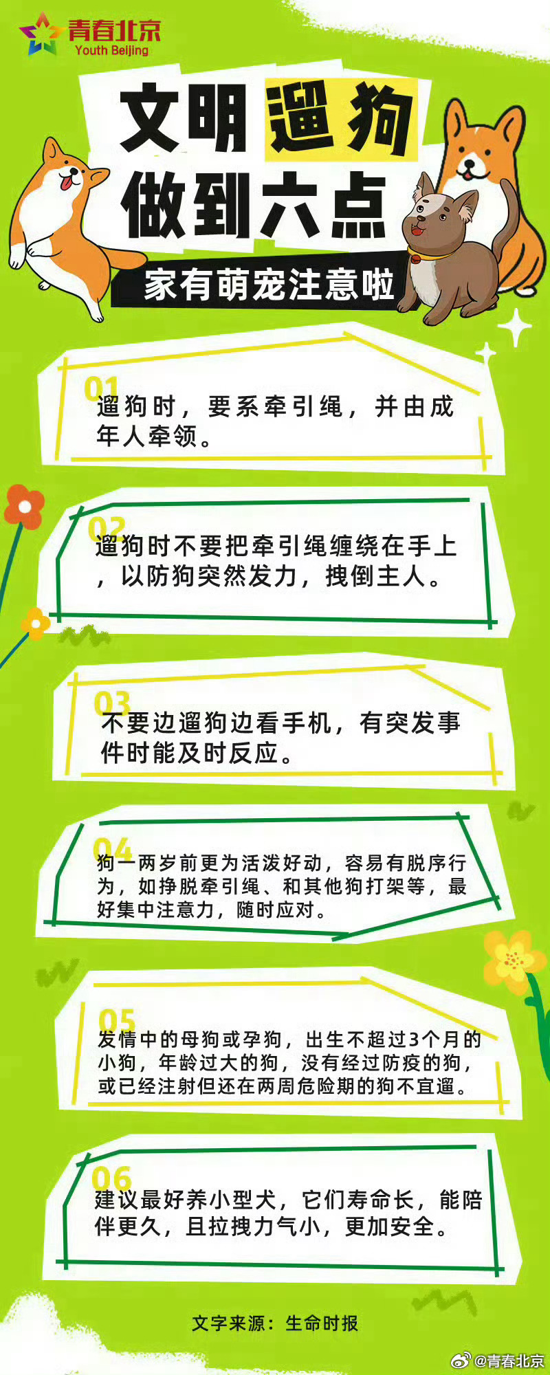 🌟最新潮流遛狗方式✨