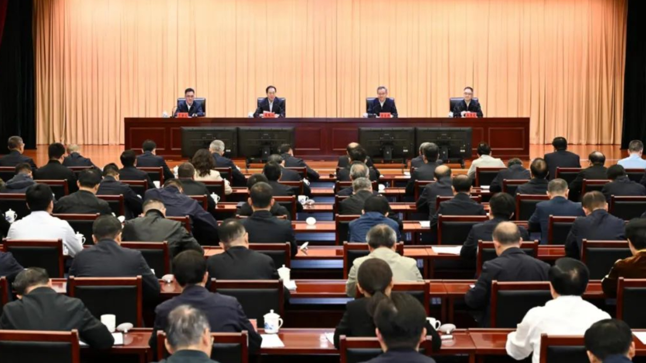 中央最新督察行动，深度分析与坚定立场解读