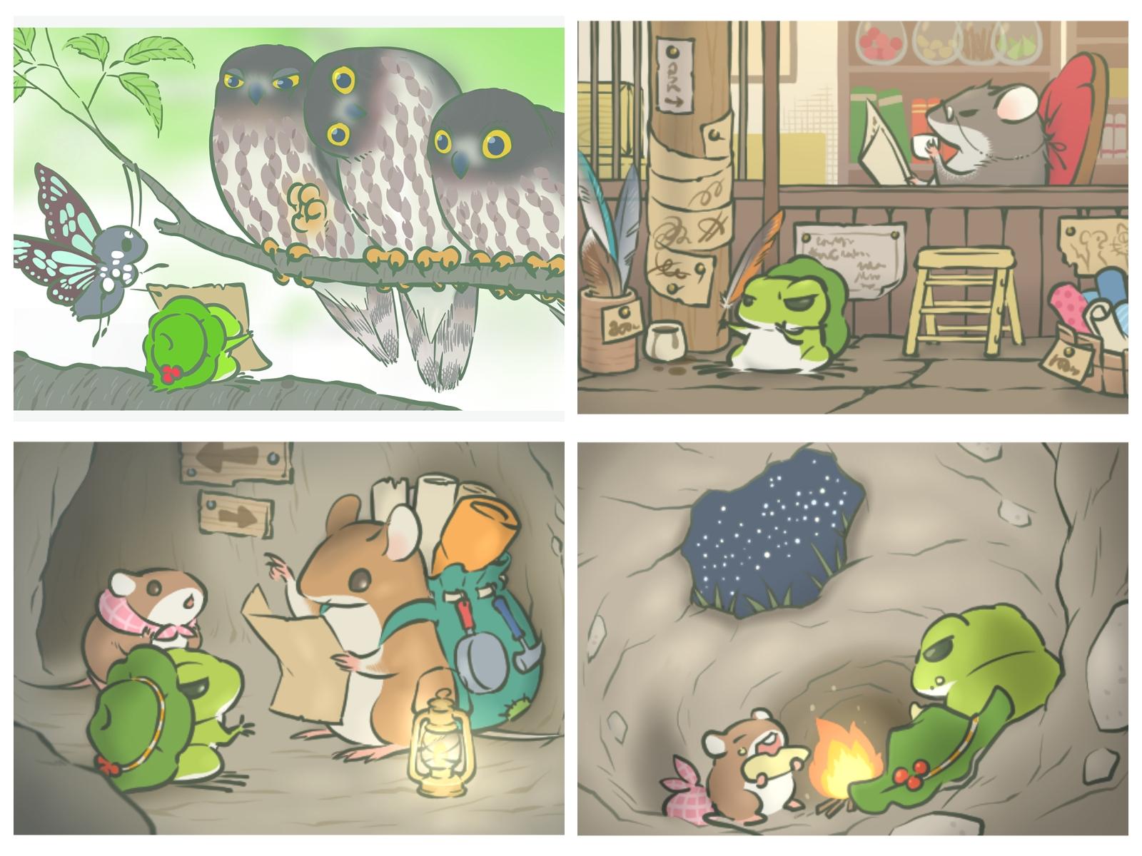 揭秘神奇两栖生物世界，最新青蛙品种大揭秘