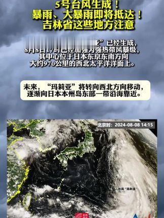 台风最新吉林动态，逆风翱翔，知识赋予力量