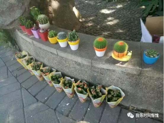 广州最新摆摊热潮，小商机，不容错过！