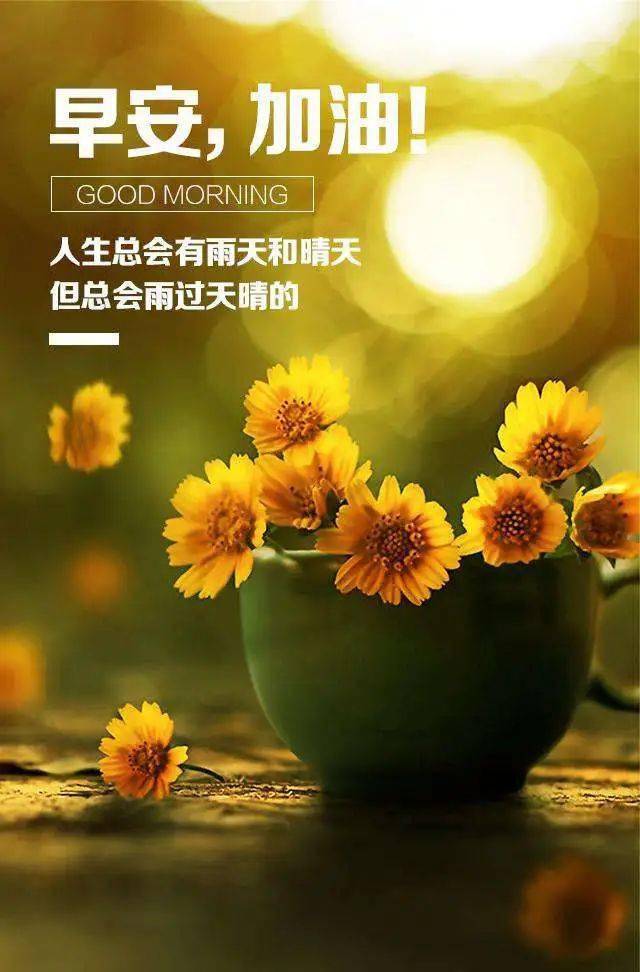 工程机械设备价格 第6页