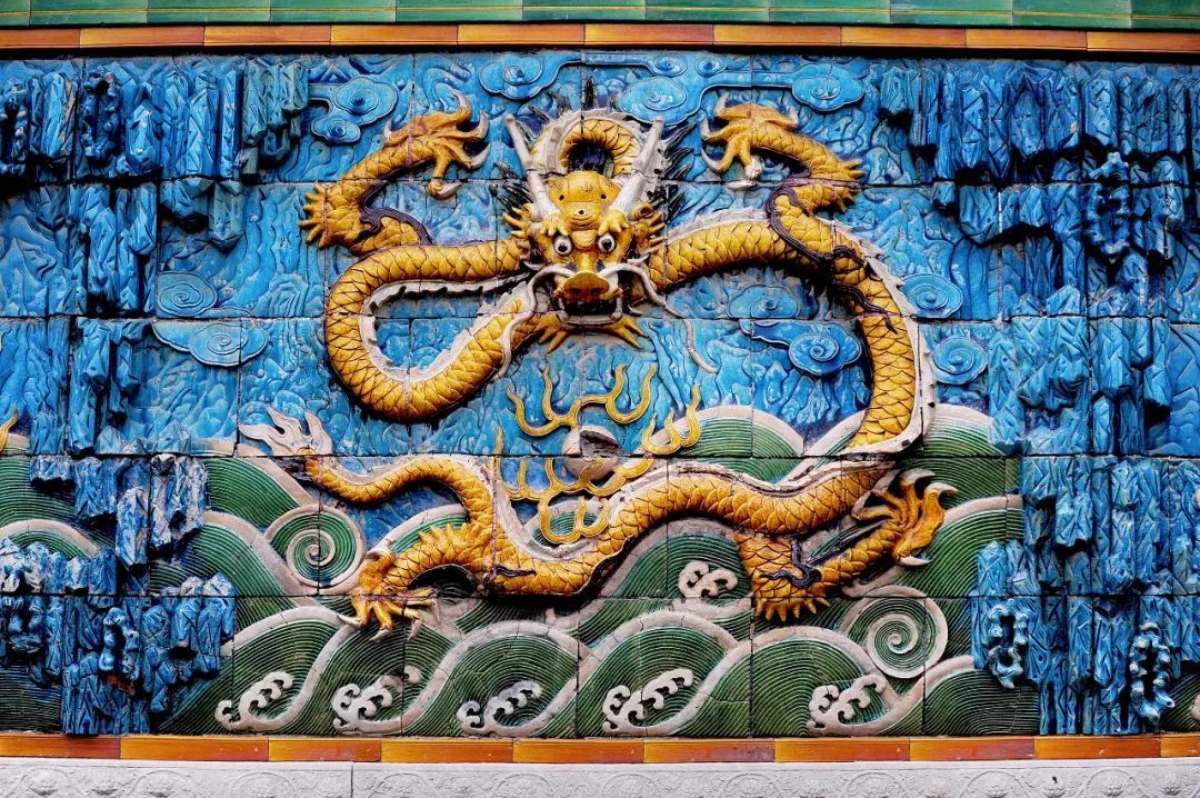 探索龙龙，未知世界的魅力与特色揭秘
