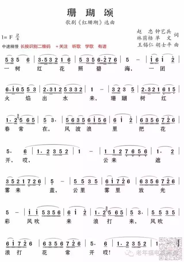 最新珊瑚颂，小巷中的隐秘宝藏探秘
