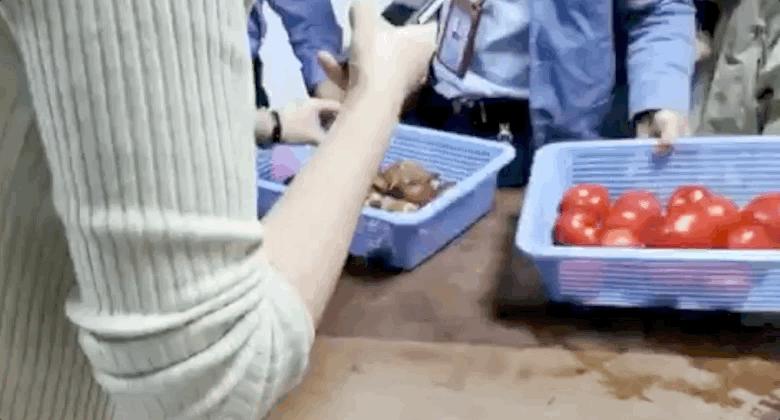 宁国幼儿园最新招聘启事发布