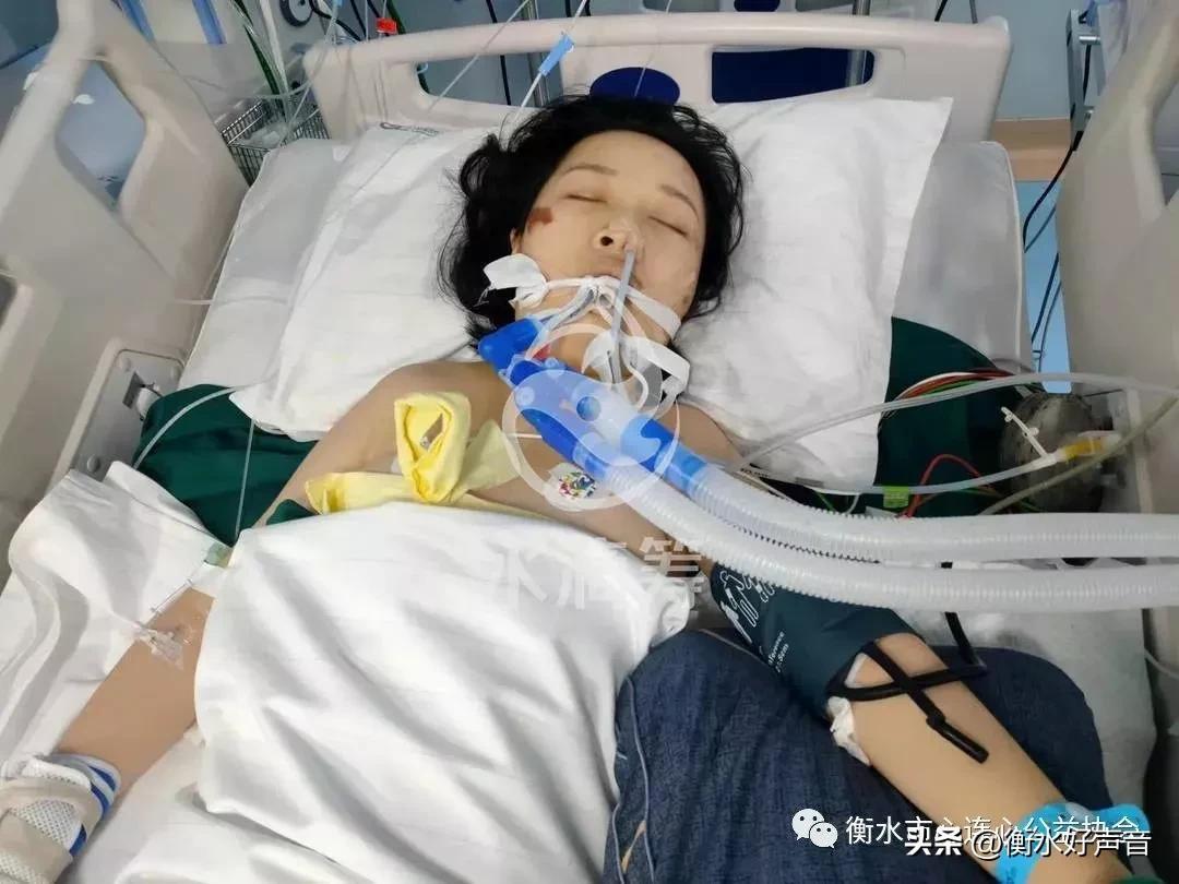 衡水交通事故，小巷美食奇遇中的意外惊魂