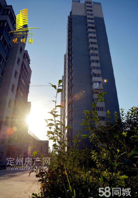 定州锦城苑最新动态，科技前沿的居住新体验揭秘