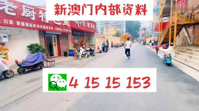 2024澳门天天开好彩精准24码,科学依据解析_更新版33.128