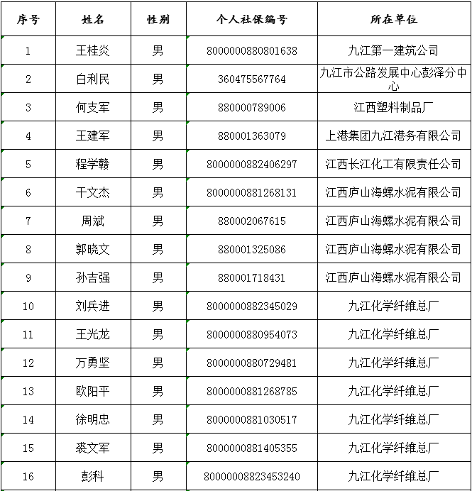 最新退休公示，绿意盎然中的生活新篇章✨🌱