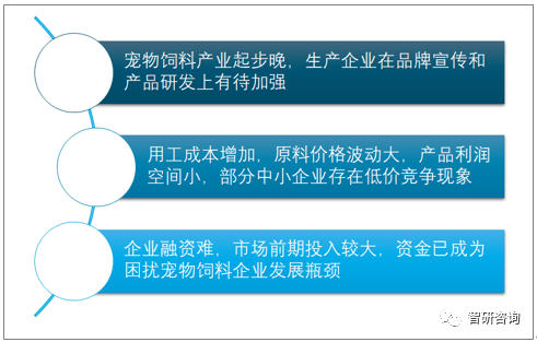2024年正版资料全年免费,策略规划_安全版30.138