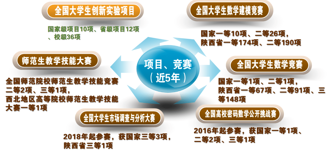 新奥门天天彩资料免费,实践调查说明_响应版11.917