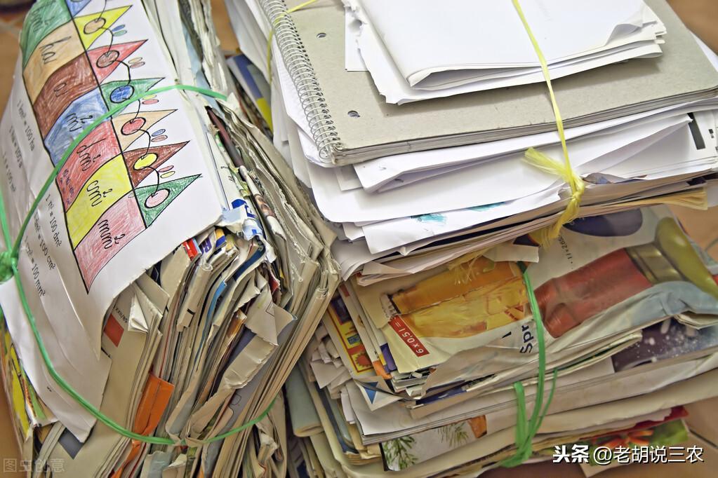 最新废纸价格信息，市场走势分析与预测报告